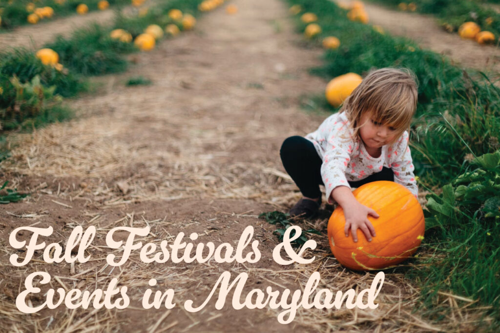 Fall Festivals and Events in Maryland